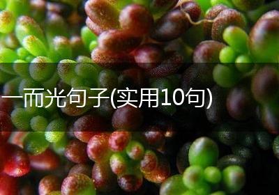一而光句子(实用10句)
