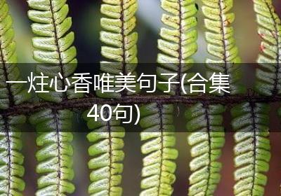 一炷心香唯美句子(合集40句)