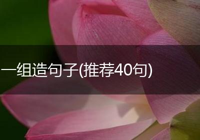 一组造句子(推荐40句)