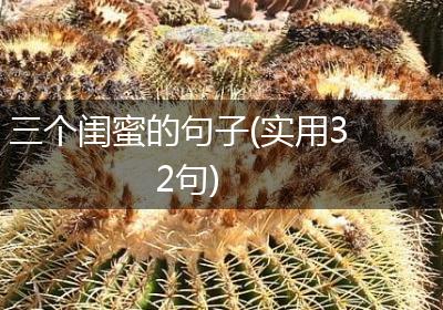 三个闺蜜的句子(实用32句)