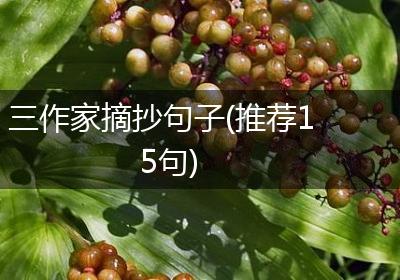 三作家摘抄句子(推荐15句)