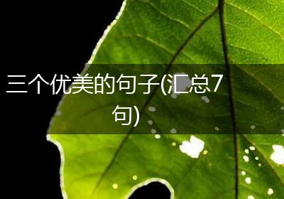 三个优美的句子(汇总7句)