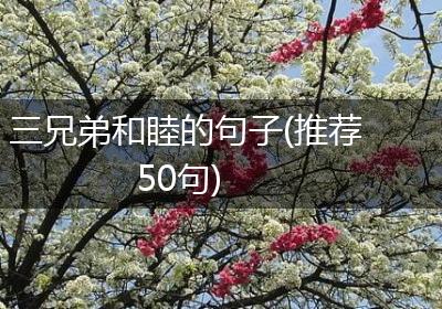 三兄弟和睦的句子(推荐50句)