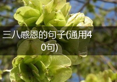 三八感恩的句子(通用40句)