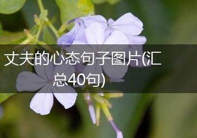 丈夫的心态句子图片(汇总40句)