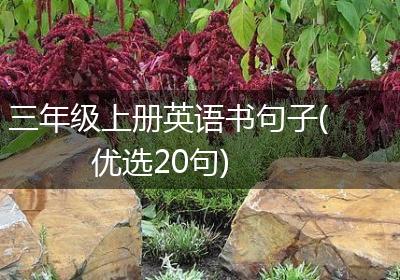 三年级上册英语书句子(优选20句)