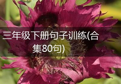 三年级下册句子训练(合集80句)