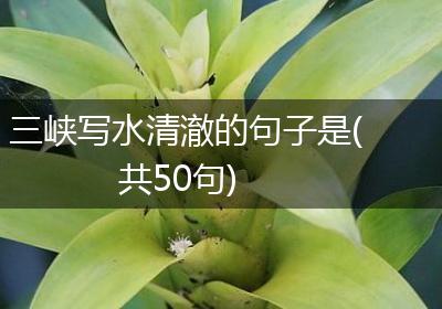 三峡写水清澈的句子是(共50句)