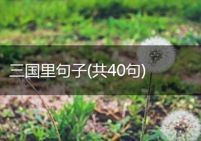 三国里句子(共40句)
