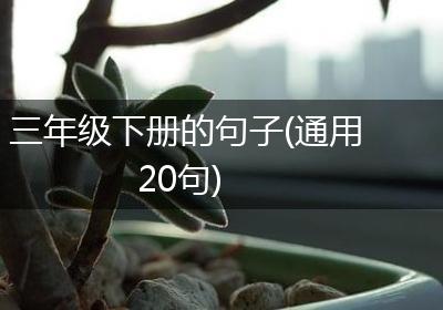 三年级下册的句子(通用20句)