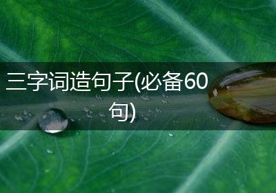 三字词造句子(必备60句)