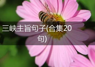 三峡主旨句子(合集20句)