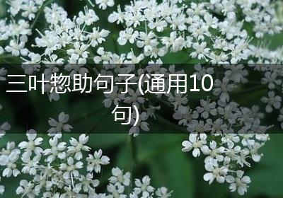 三叶惣助句子(通用10句)