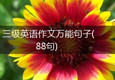 三级英语作文万能句子(88句)