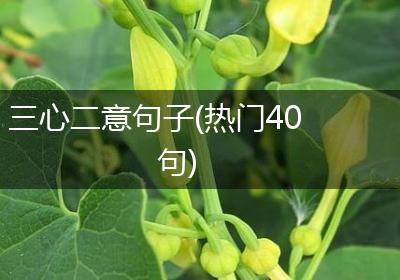 三心二意句子(热门40句)
