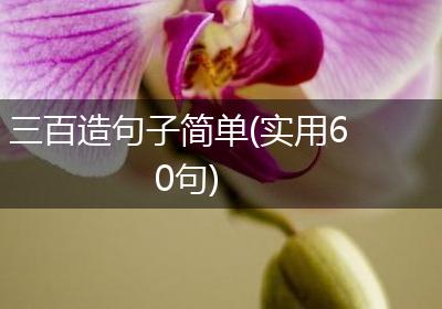 三百造句子简单(实用60句)