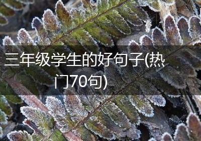 三年级学生的好句子(热门70句)