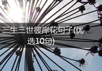 三生三世彼岸花句子(优选10句)