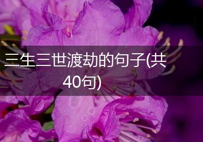 三生三世渡劫的句子(共40句)