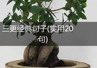 三更经典句子(实用20句)