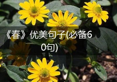 《春》优美句子(必备60句)