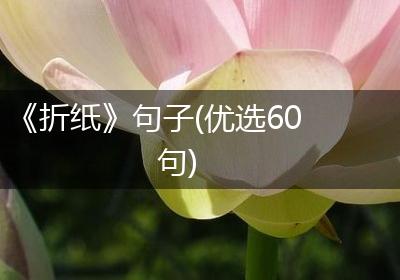 《折纸》句子(优选60句)