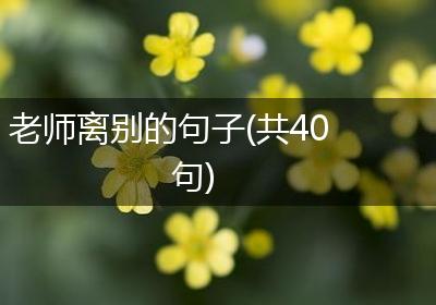 老师离别的句子(共40句)