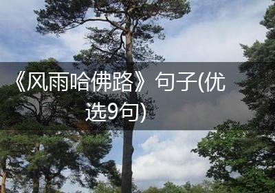 《风雨哈佛路》句子(优选9句)