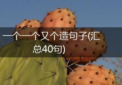 一个一个又个造句子(汇总40句)