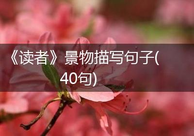 《读者》景物描写句子(40句)