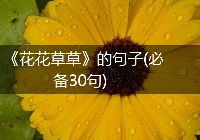 《花花草草》的句子(必备30句)