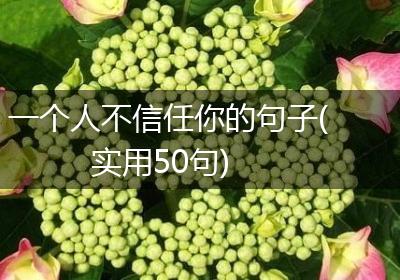 一个人不信任你的句子(实用50句)
