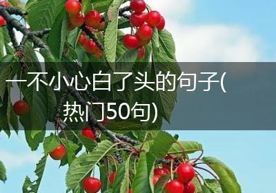 一不小心白了头的句子(热门50句)