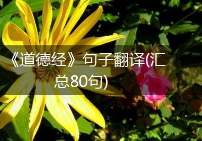 《道德经》句子翻译(汇总80句)