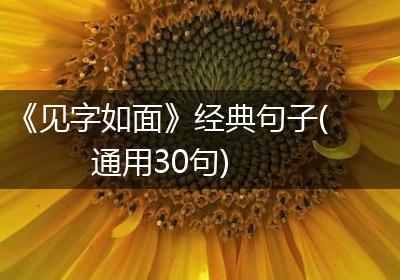 《见字如面》经典句子(通用30句)