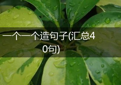 一个一个造句子(汇总40句)