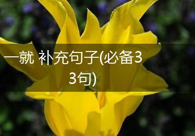 一就 补充句子(必备33句)