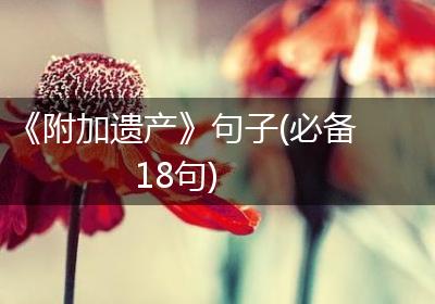 《附加遗产》句子(必备18句)