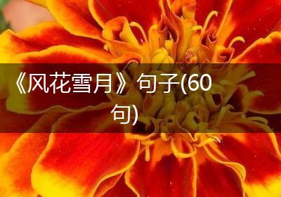 《风花雪月》句子(60句)