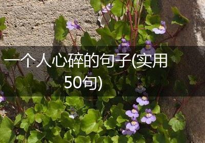 一个人心碎的句子(实用50句)