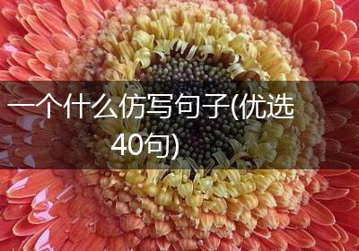 一个什么仿写句子(优选40句)