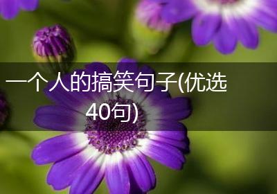 一个人的搞笑句子(优选40句)