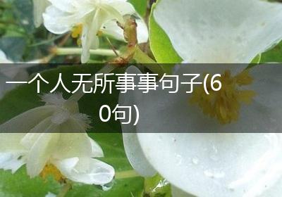 一个人无所事事句子(60句)