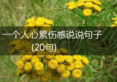 一个人心累伤感说说句子(20句)