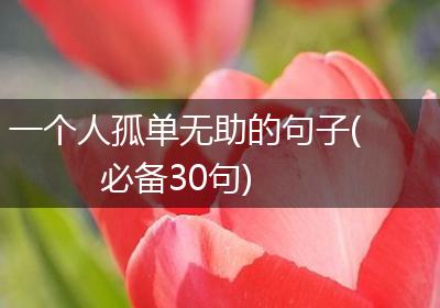 一个人孤单无助的句子(必备30句)