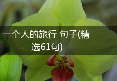 一个人的旅行 句子(精选61句)