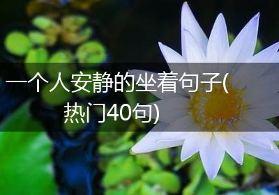 一个人安静的坐着句子(热门40句)