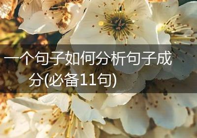 一个句子如何分析句子成分(必备11句)