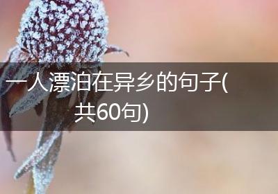 一人漂泊在异乡的句子(共60句)