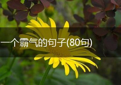 一个霸气的句子(80句)